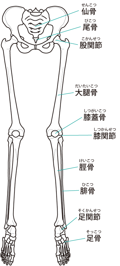 モートン病の当院でのアプローチは?