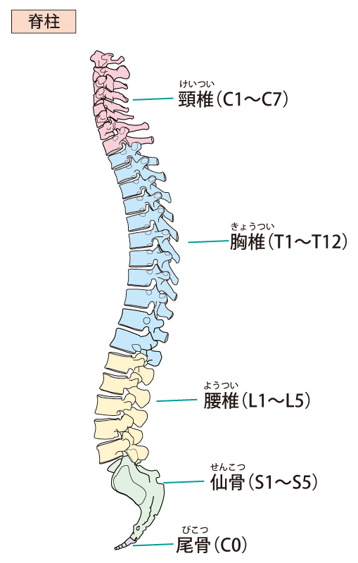 ばね指の当院でのアプローチは?