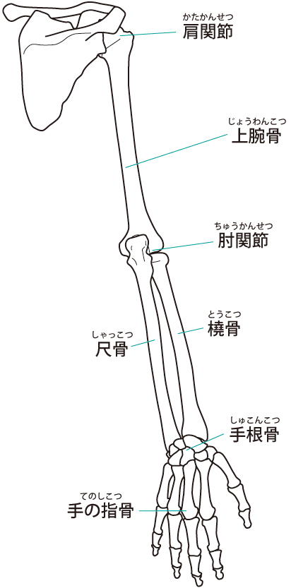 手根管症候群への当院のアプローチは?