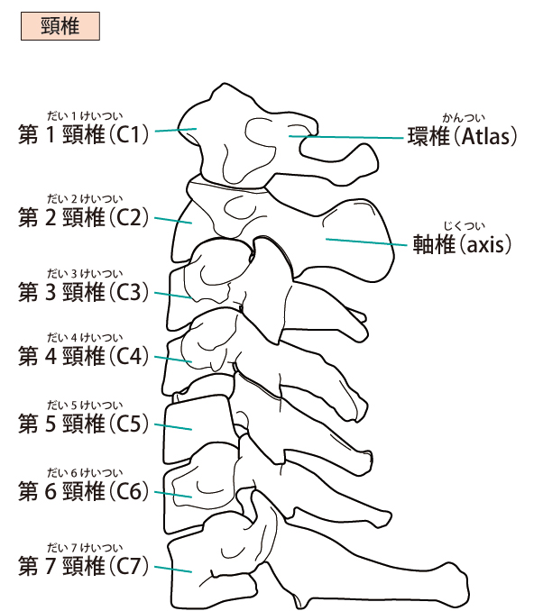 目の奥の痛みに対するアプローチは?