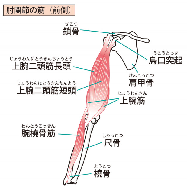 当院の野球肘へのアプローチは?