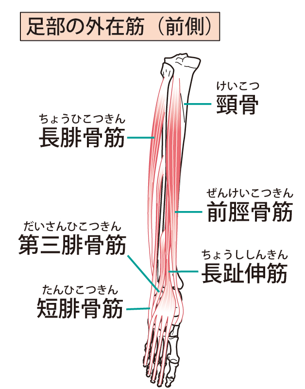 オスグッド改善に際して気をつけていること